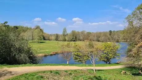 Photo de National Trust - Winkworth Arboretum