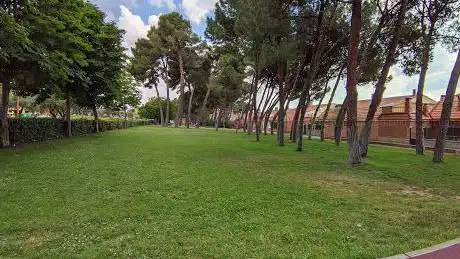 Photo de Calistenia Park
