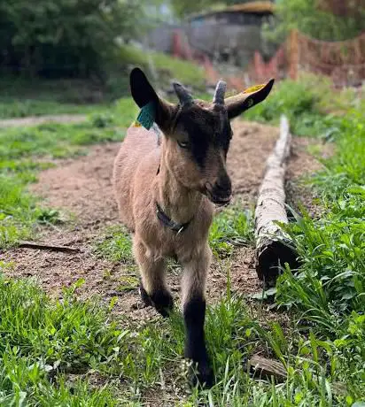 Photo de Ferme de pan