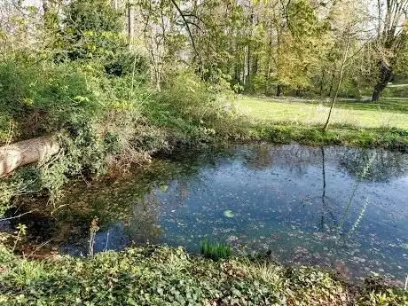 Photo de Müsch Park