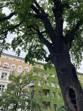 Photo de NaTuRe ShElTeR