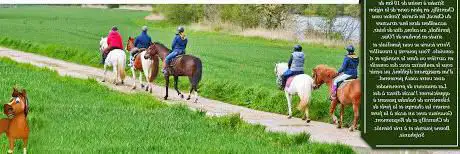 Photo de Les Ecuries Yankee