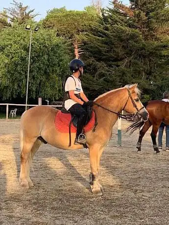 Photo de Centro Ippico Le Cheval