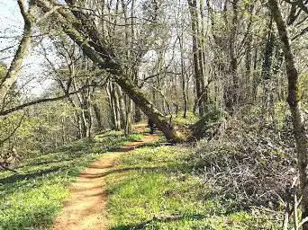 Photo de Espace Naturel Sensible de la butte Sainte Geneviève