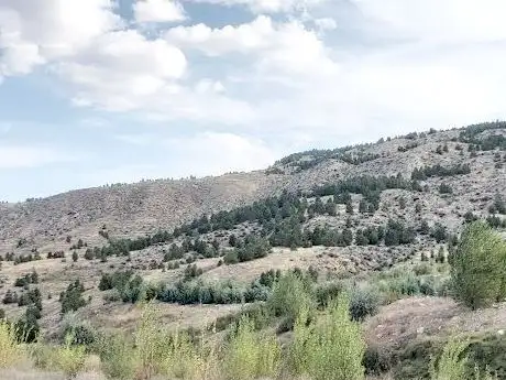 Photo de Milli Egemenlik Hatıra Ormanı