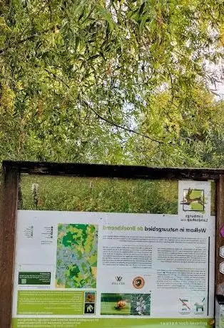 Photo of Natuurgebied de Broekbeemd