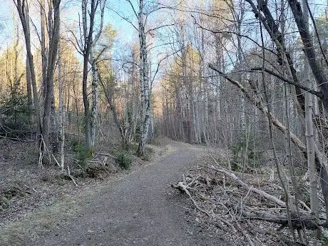 Photo de Bingedammen