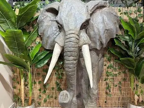 Photo de JUNGLE VR Game House & Cafe