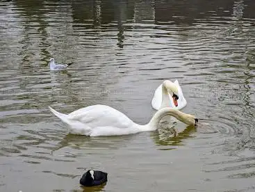 Photo de Lee Valley Regional Park Authority