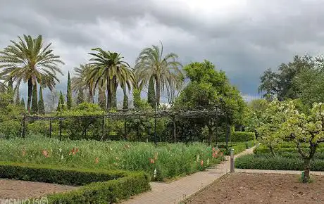Photo de Jardin botanique royal de Cordoue
