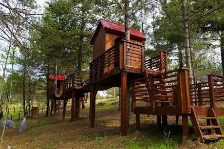 Photo de Lüleburgaz Kent Ormanı