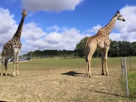 Photo of Planète Sauvage