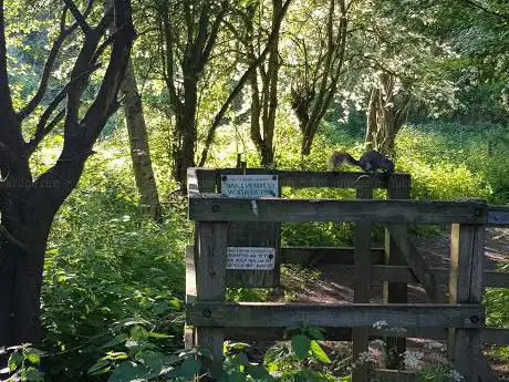 Photo de Costessey Ponds
