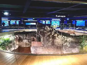 Photo de Aquarium Tropical