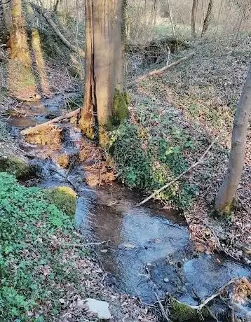 Photo de Kalktuffbach