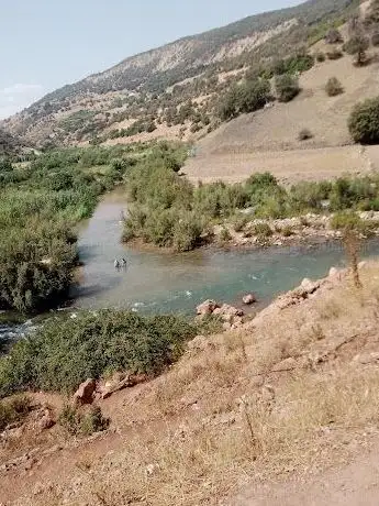 Photo de وادي أم الربيع