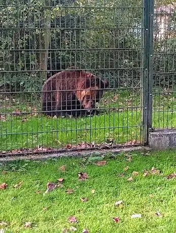 Photo de Aussichtsplattform / Gnadenhof für Bären