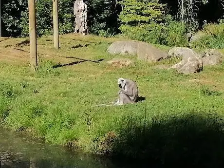 Photo of Parc Zoologique et Végetal de Trégomeur