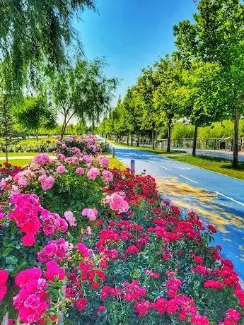 Photo de Kent Park