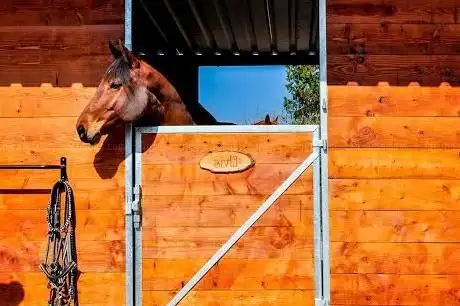 Photo de Reitstall Sandvik