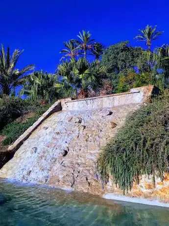 Photo de JardÃ­n El Palmeral