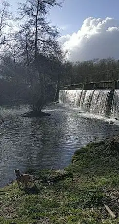 Photo de Cascade du ru