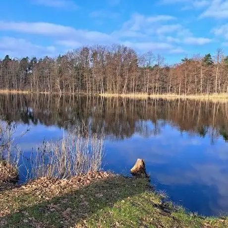 Photo de Strandbad Krummensee