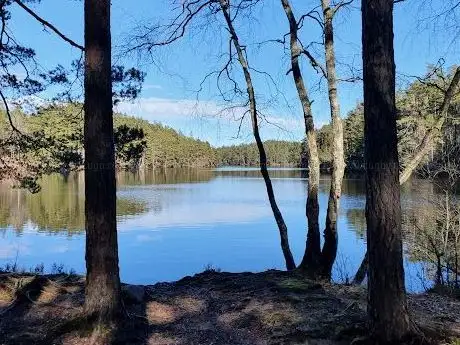 Photo de Herrsjöskogens naturreservat
