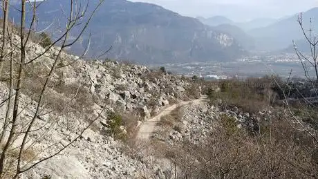 Photo de Orme Dinosauri Tridattilo