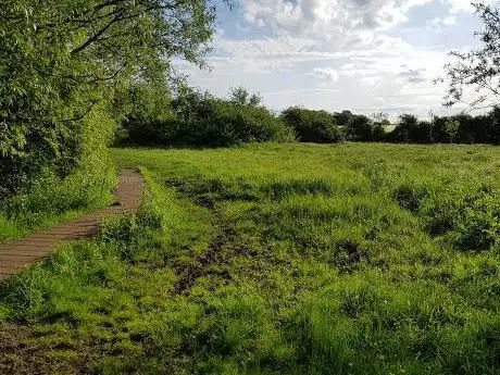 Photo de Willow Meadow