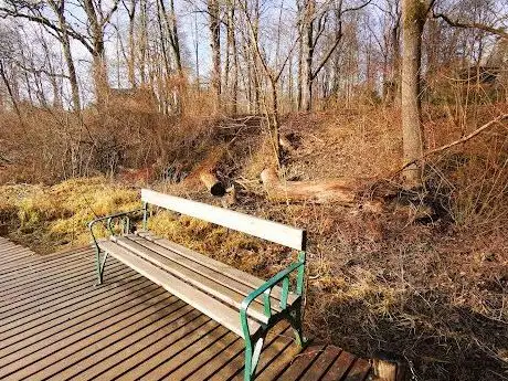Photo de Schilfweg