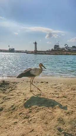 Photo de HOŞKÖY PARK
