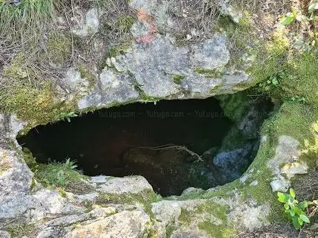 Photo de Cave Jama