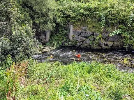 Photo de Tolka Valley Park