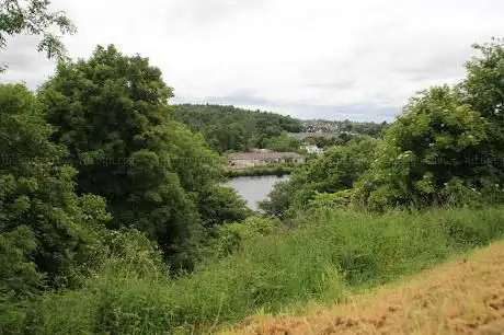Mountsandel Wood