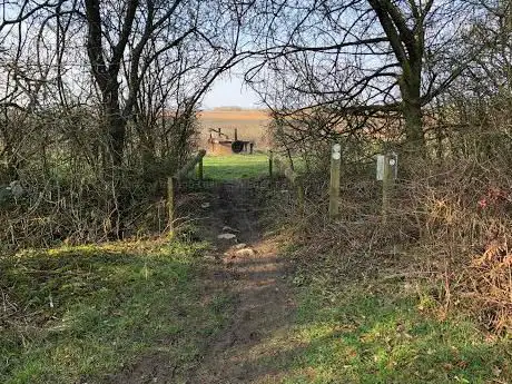 Photo de Little Linford Wood