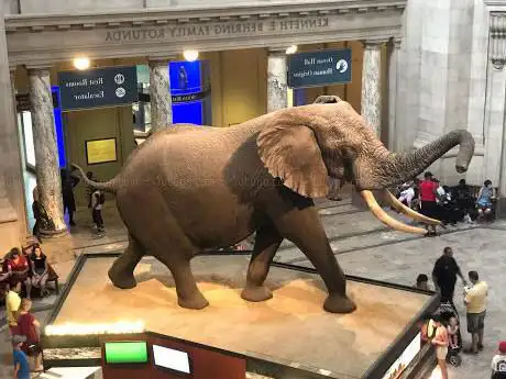 Photo de Smithsonian Museum