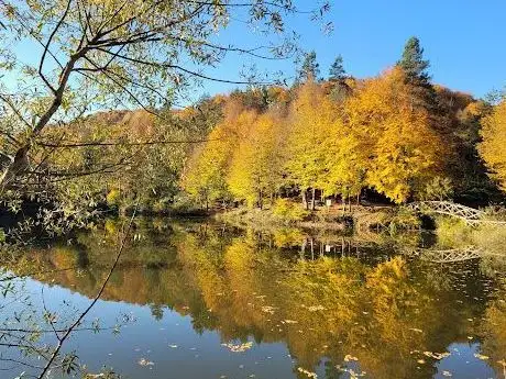 Photo de Çamlıpınar Göleti