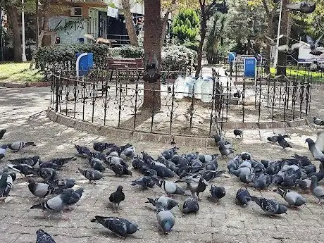 Photo de Teachers Park