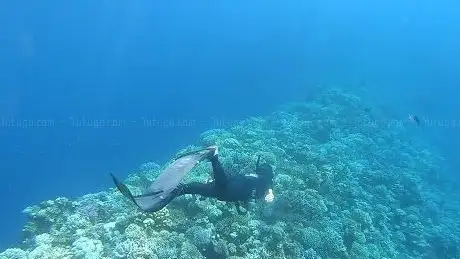 Photo de Freedive N Egypt