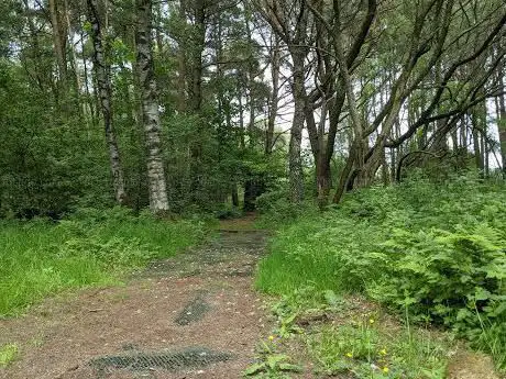 Photo de Cliburn Moss Nature Reserve