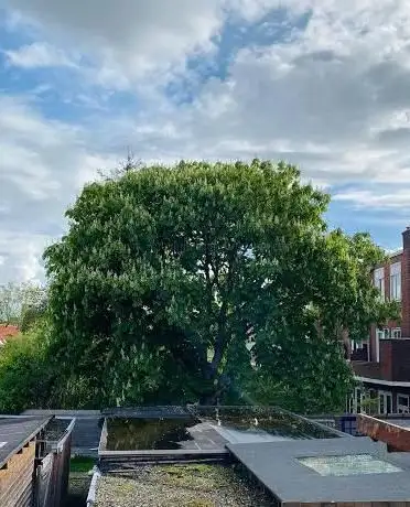 Photo de De Boom