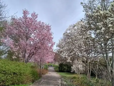 Photo de Abbey park