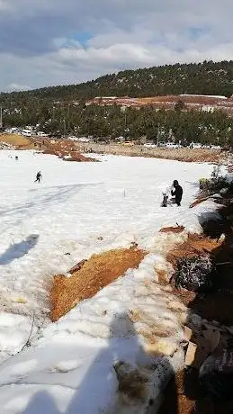 Photo de Şehit Piyade Komando Onbaşı Ali Yanbaz Hatıra Ormanı