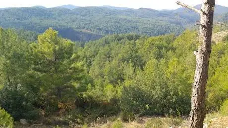 Photo de Taşkesiği