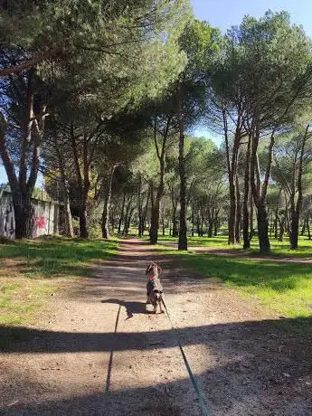Photo de Pinar de las Rozas