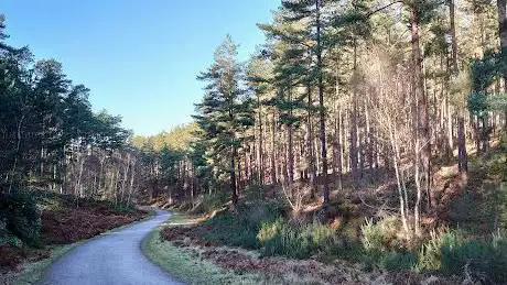 Photo of Bourne Wood