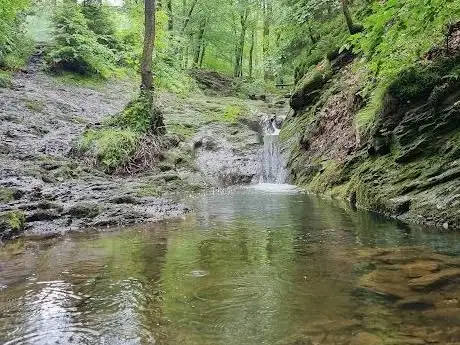 Photo of bain du cerf