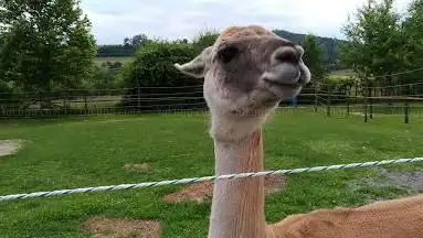 Photo de Theme park Rotfelden OHG