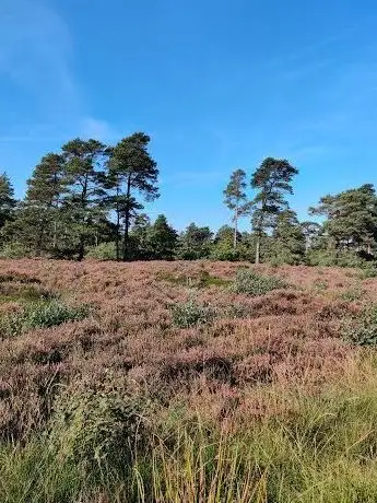 Photo de Naturreservat